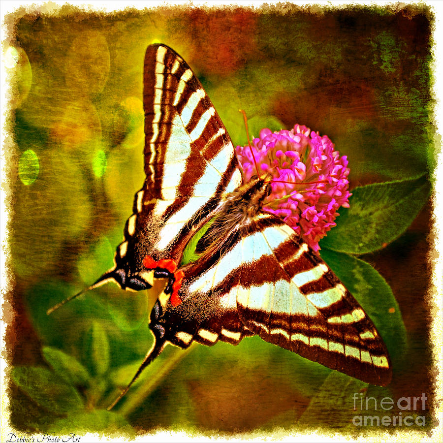 Zebra Swallowtail Butterfly - Digital Paint 3 Photograph by Debbie Portwood