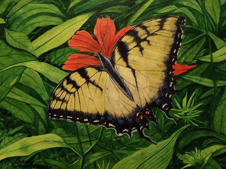 Tiger Swallowtail butterfly Painting by Gary Edward Jennings