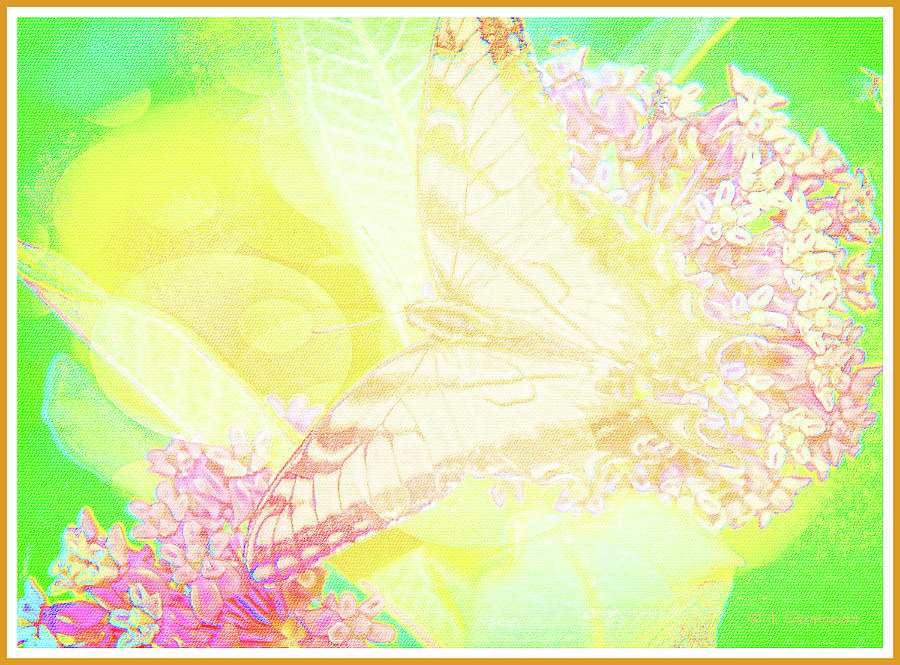 Tiger Swallowtail Butterfly, Male, Digital Art Digital Art by A Macarthur Gurmankin