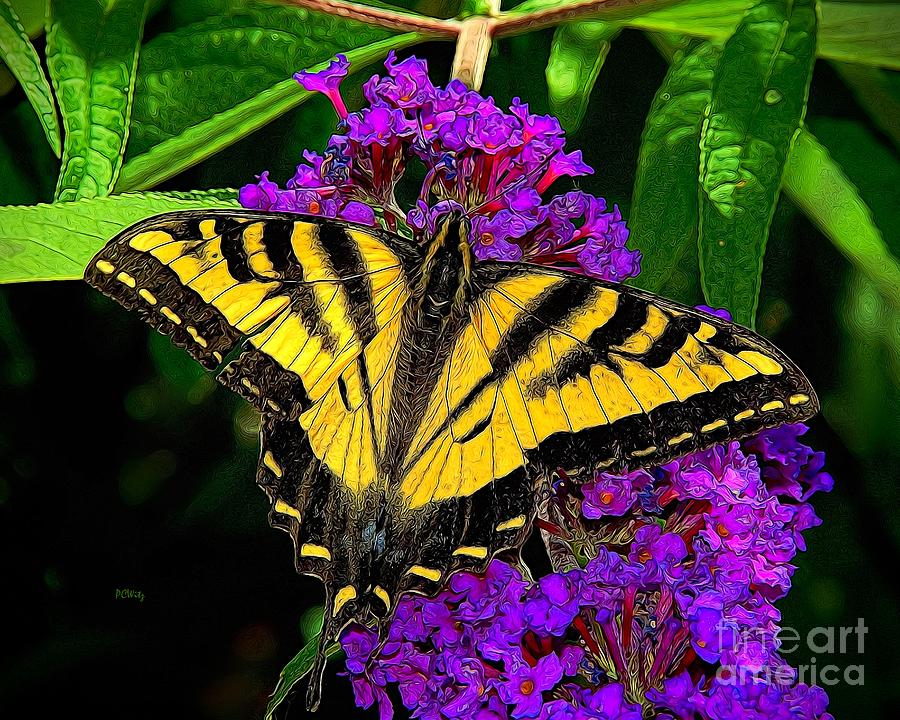 Tiger Swallowtail Butterfly Photograph by Patrick Witz