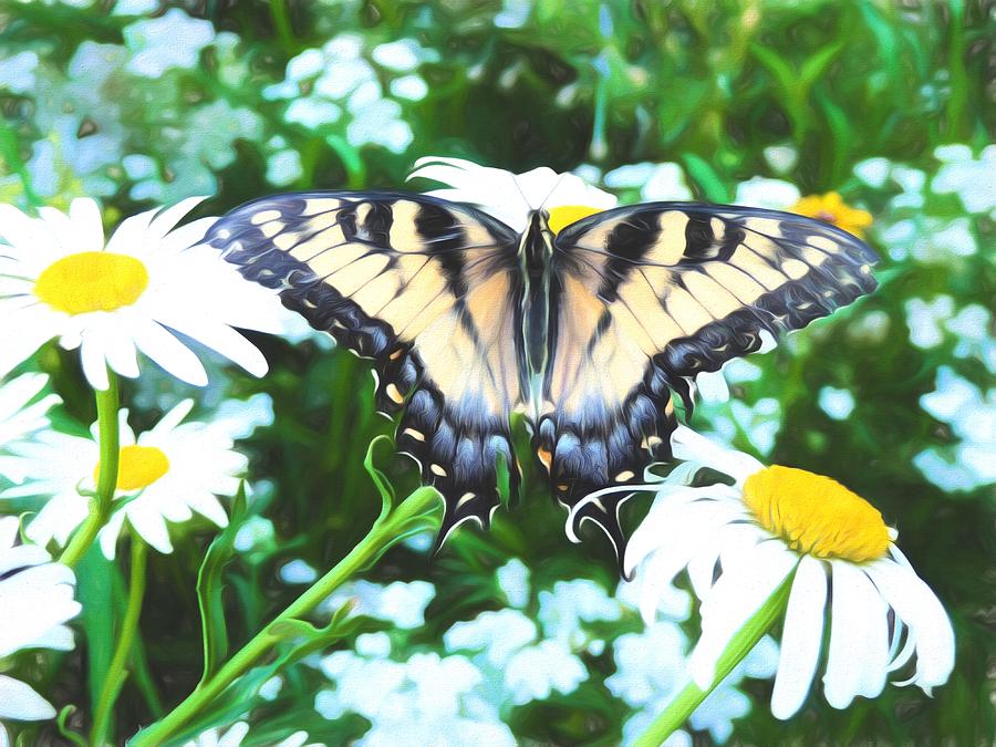 Tiger Swallowtail Life Photograph by JC Findley