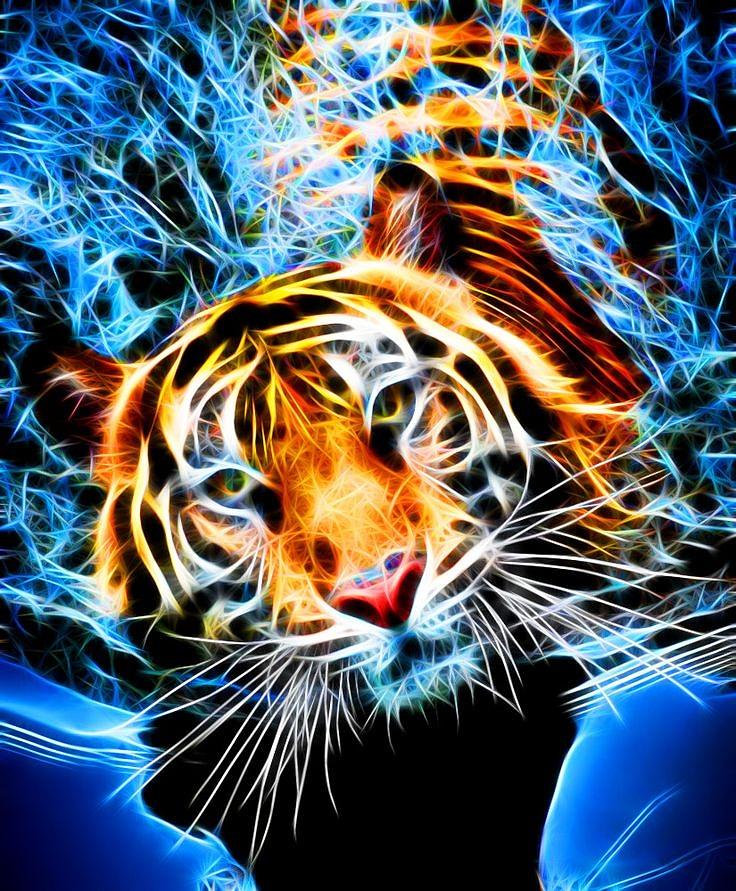 Tiger Swimming Digital Art by Bob Smerecki - Fine Art America