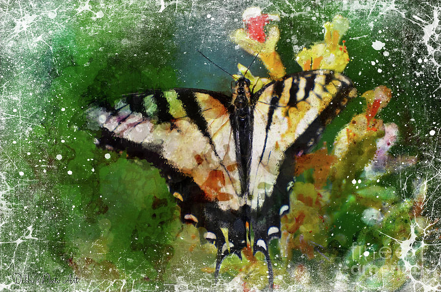 Tiger Swallowtail Butterfly 4 Photograph by Debbie Portwood