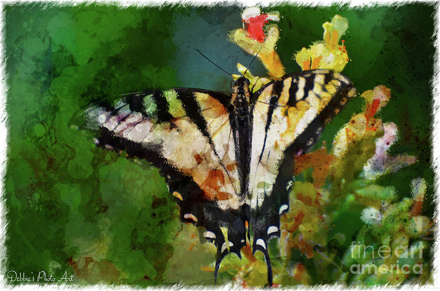 Tiger Swallowtail Butterfly 5 Photograph by Debbie Portwood