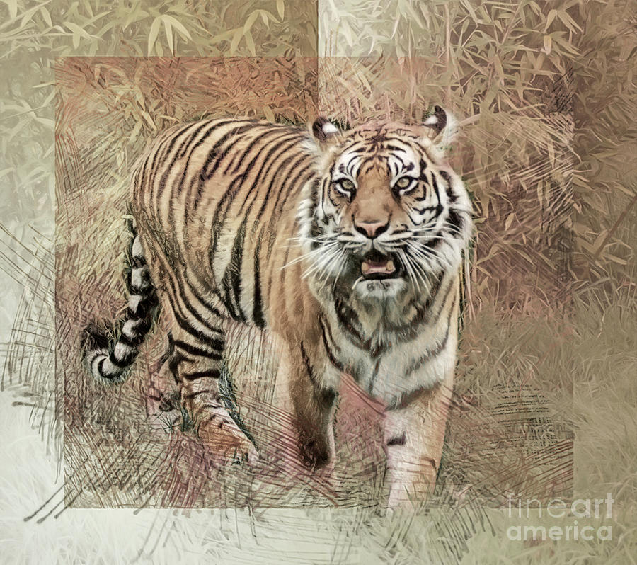 Tiger Tapestry Photograph by Brian Tarr