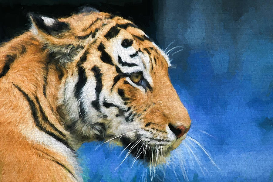 Tiger Tiger Burning Bright Digital Art by Roy Pedersen