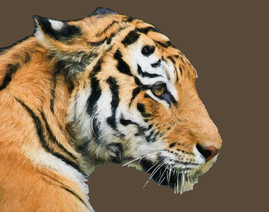 Tiger Tiger  Digital Art by Roy Pedersen