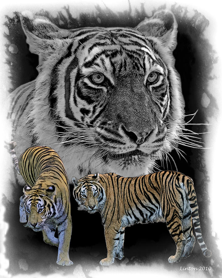 Nature Digital Art - Tiger Tribute by Larry Linton