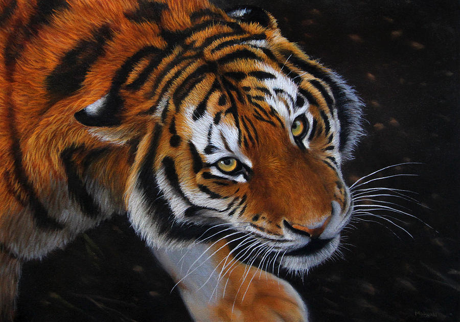 Tiger - Watching You Painting by Jason Morgan - Fine Art America