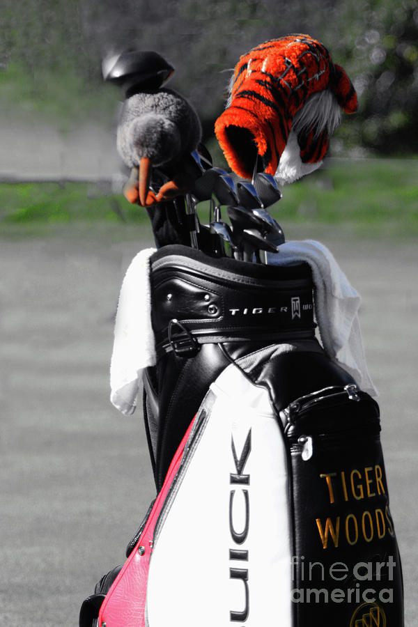 Tiger Woods Clubs Bag II Photograph by Chuck Kuhn
