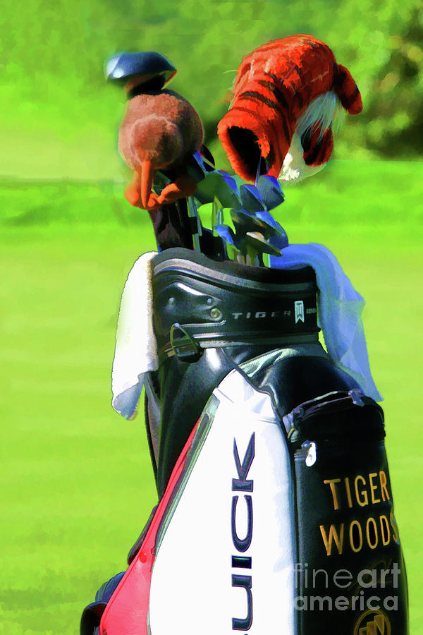 Tiger Woods Golf Bag Paint  Photograph by Chuck Kuhn