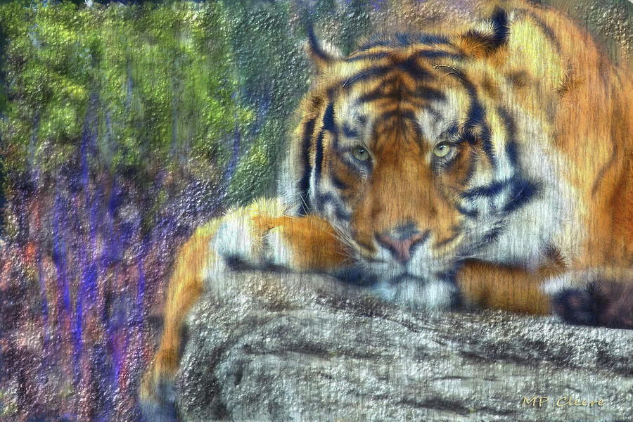 Tigerland Digital Art by Michael Cleere
