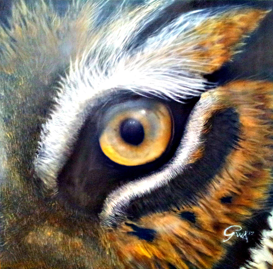 tiger eye animal