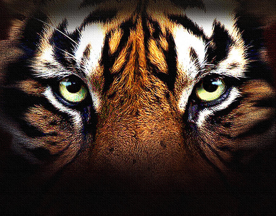 Tiger's Eye Digital Art by Robert Foster - Pixels