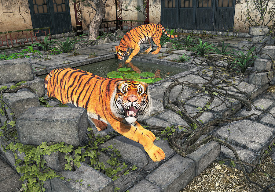 Tigers in the Courtyard Painting by Peter J Sucy
