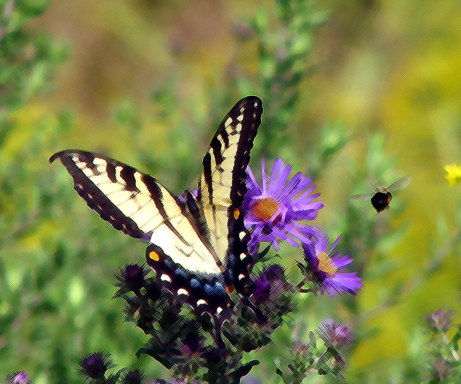 Tigerswallowtail and Bee painting Photograph by George Jones