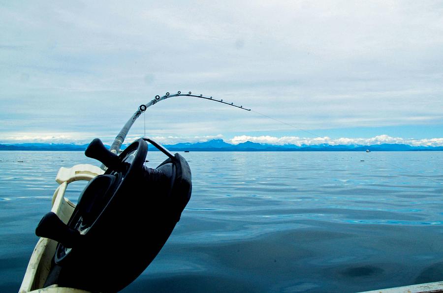 Tight Line by Michael Potts Tight Line by Michael Potts