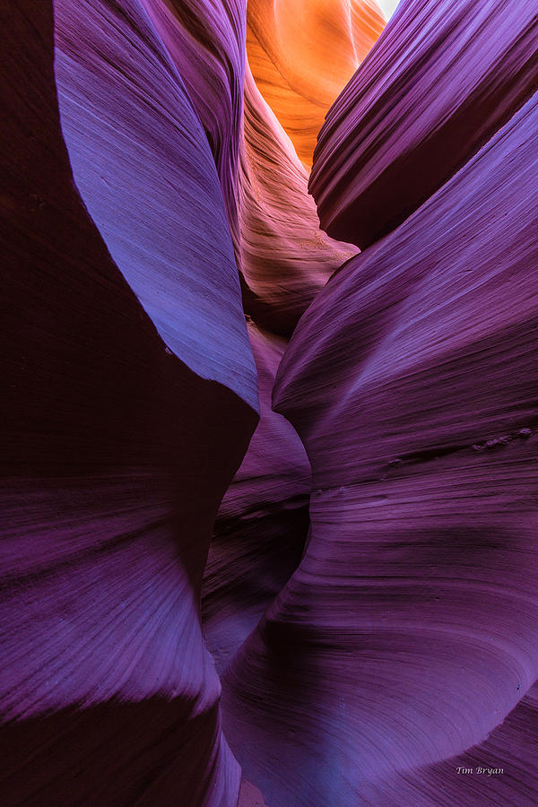 Landscape Photograph - Tight Squeeze-Lower Antelope Canyon by Tim Bryan