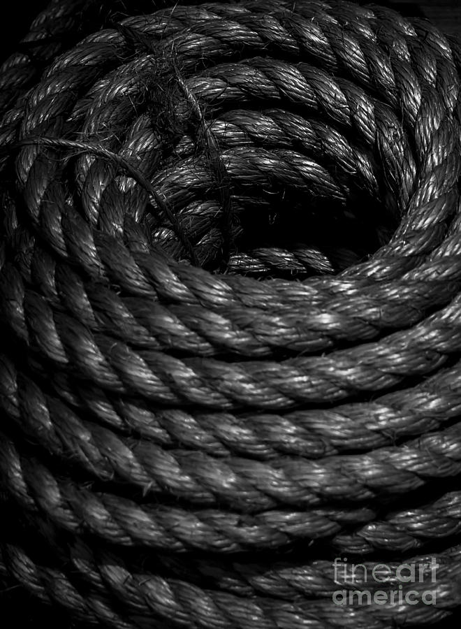 Tightly Wound Photograph by James Aiken