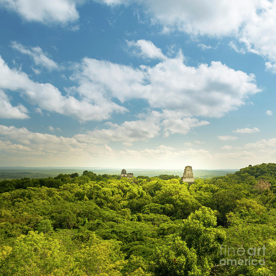 Mayan Photograph - Tikal Guatemala Mayan Ruins by THP Creative