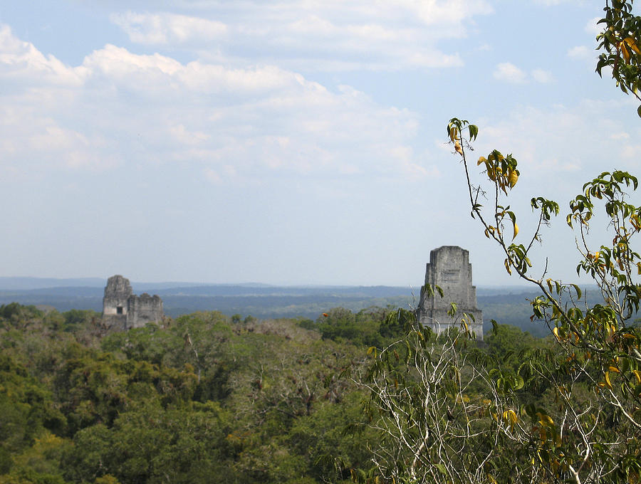 Tikal III Photograph by Kurt Van Wagner