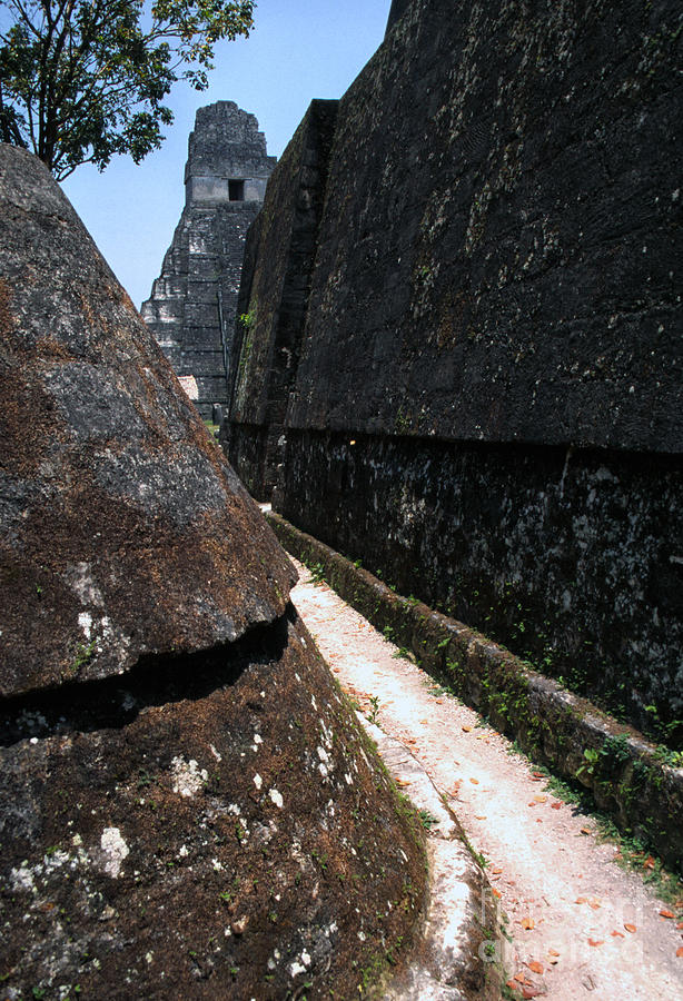 Tikal Photograph by Thomas R Fletcher