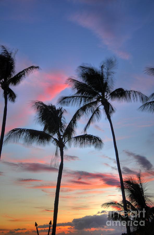Tiki Palm Sunset Photograph by Kelly Wade
