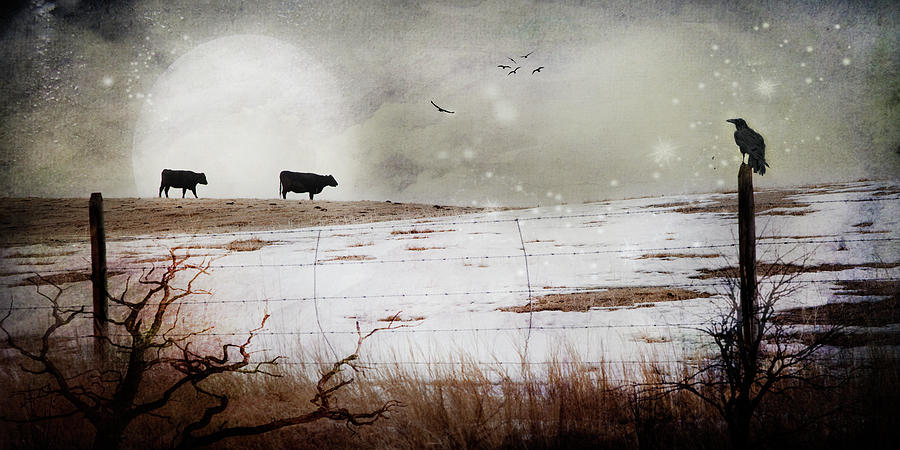 til The Cows Come Home Photograph by Theresa Tahara