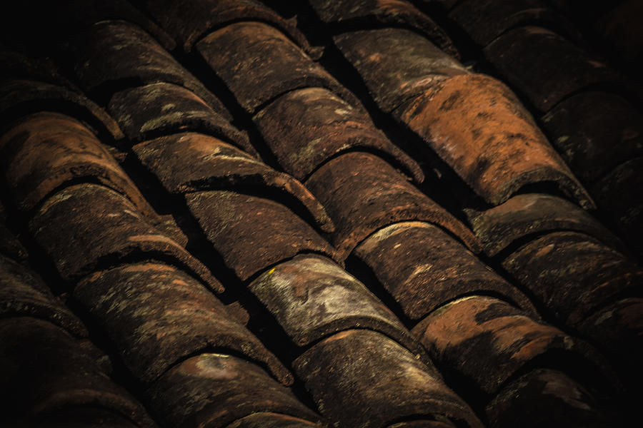Architecture Photograph - Tile Roof 1 by Totto Ponce