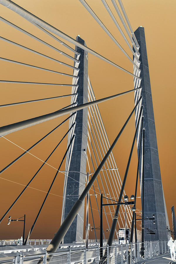 Tilikum Bridge Photograph by Sherrie Triest