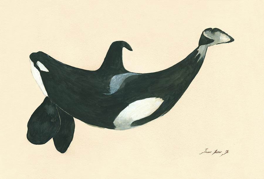 Whale Painting - Tilikum killer whale by Juan Bosco