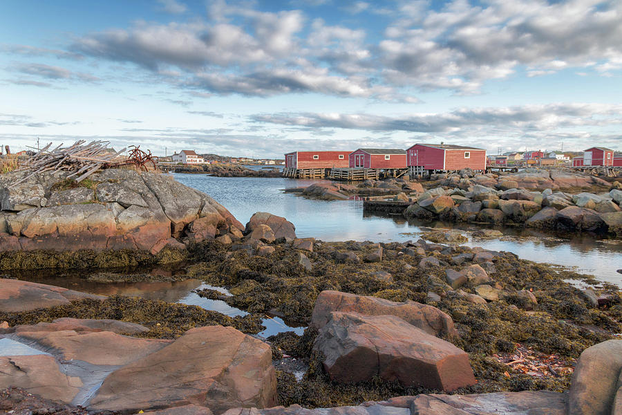 Tiling on Fogo Island by Crystal Fudge Tiling on Fogo Island by Crystal Fudge