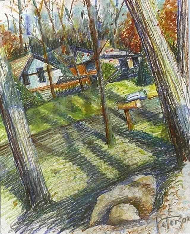 Tree Drawing - Tilted Landscape by Gary Peterson