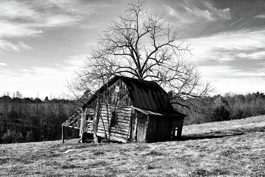 Tilted Log Cabin B Photograph by John Myers