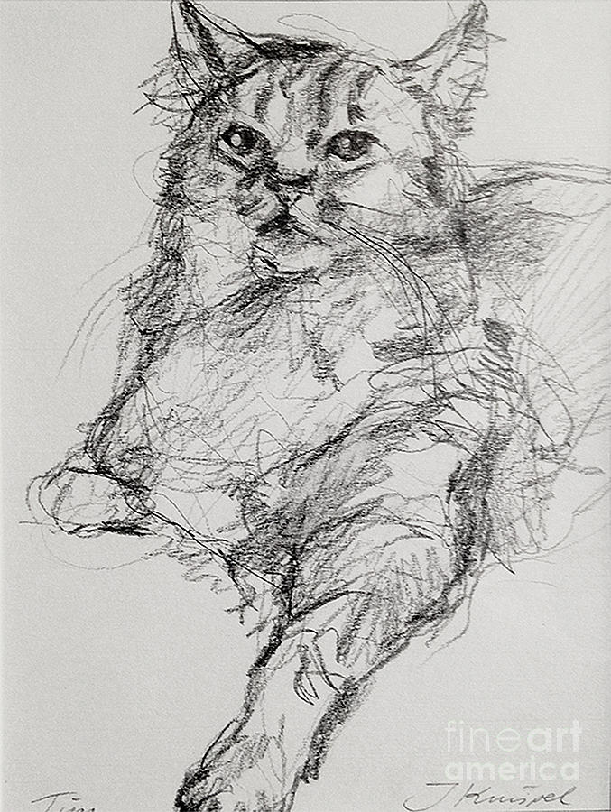 Cat Drawing - Tim, one leg down by Janneke Knispel