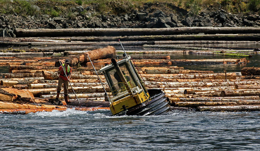 Timber Rafting - 365-101 Photograph by Inge Riis McDonald
