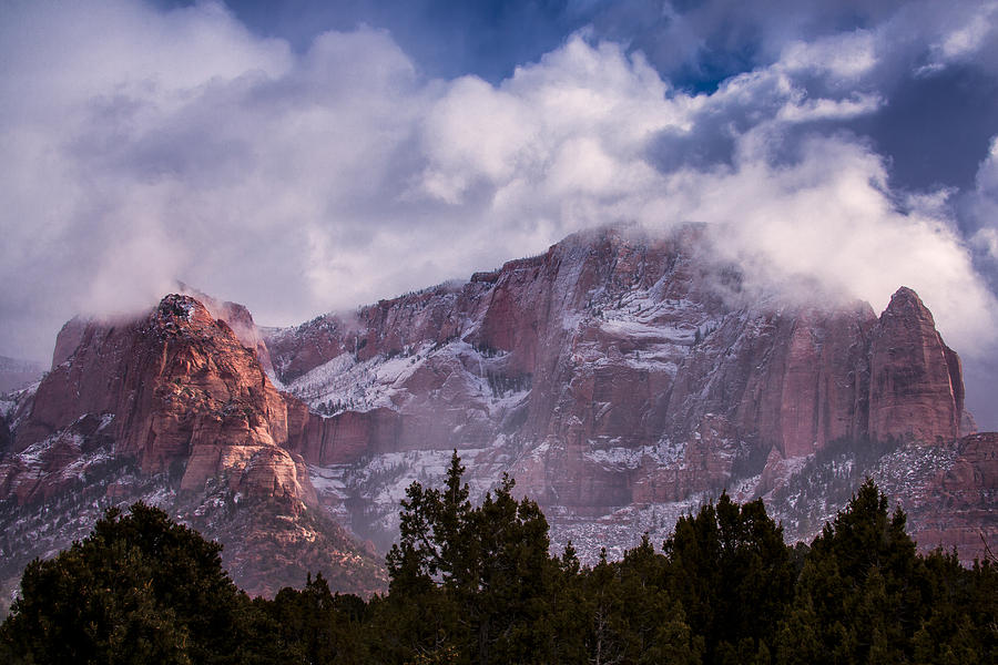 Zion National Park Photograph - Timber Top Mountain by Rob Travis