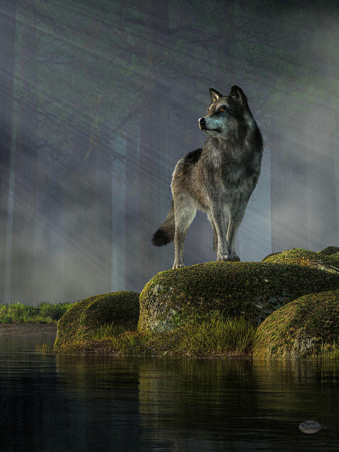 Wolves Digital Art - Timber Wolf by Daniel Eskridge