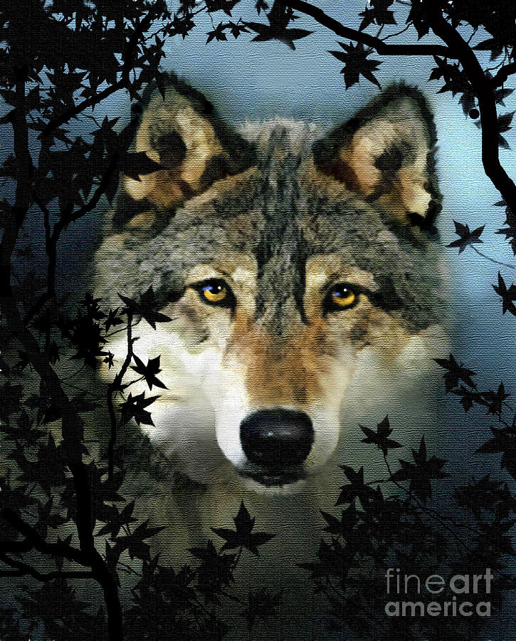 Wildlife Painting - Timber Wolf by Robert Foster