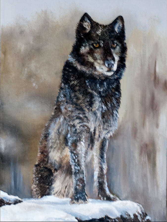 Timber Wolf Painting by Terry R MacDonald