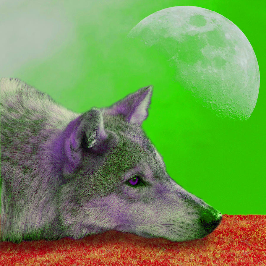 Timber Wolf Under The Moon Red And Green Photograph By Tina B Hamilton