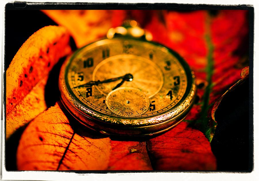 Time for fall Photograph by Gerald Kloss
