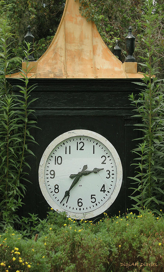 Time in the Garden Digital Art by DigiArt Diaries by Vicky B Fuller