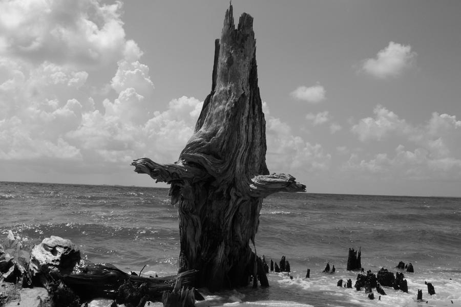 time-is-short-photograph-by-emeraldcoast-gallery