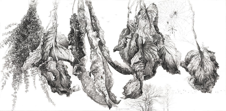Time of Life. Series Dry Leaves Drawing by Sergey Gusarin