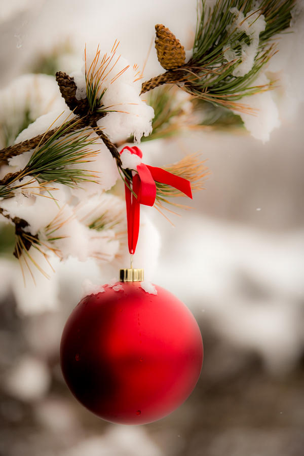 Time of Year Photograph by Ken Koontz - Fine Art America