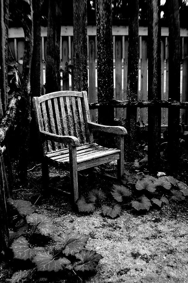 Time Out In The Garden Photograph by Jason Blalock