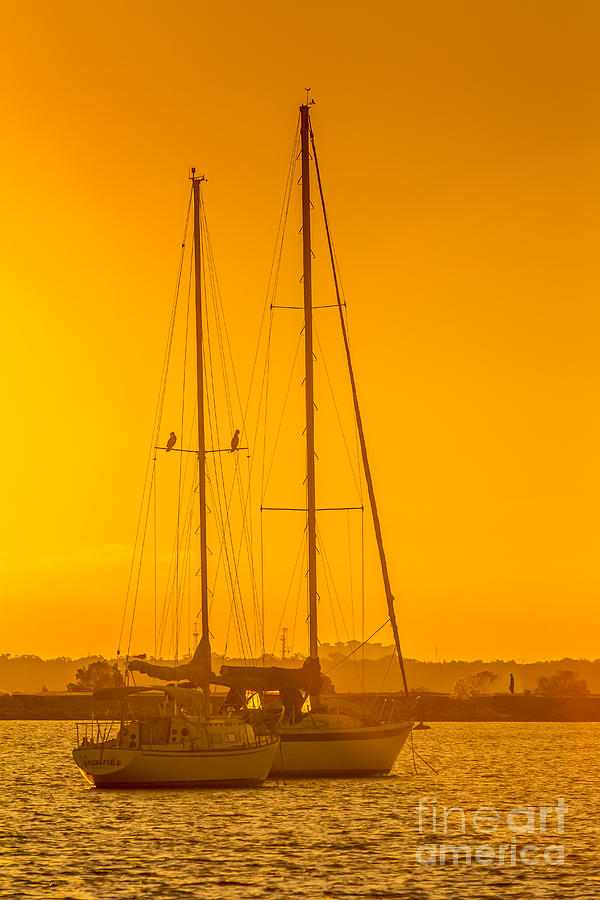 Time To Sail Photograph by Marvin Spates