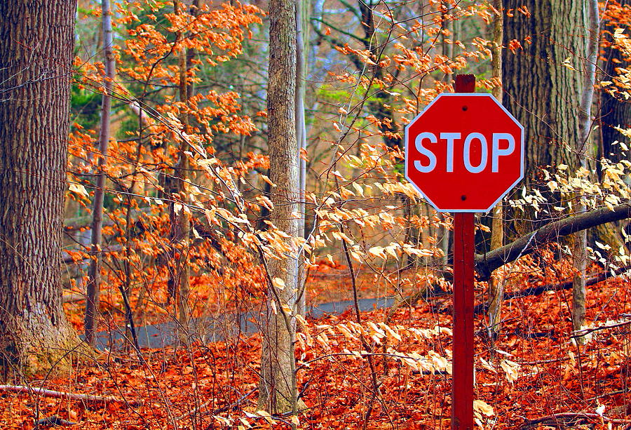 Time to Stop Photograph by David Rosenthal | Fine Art America