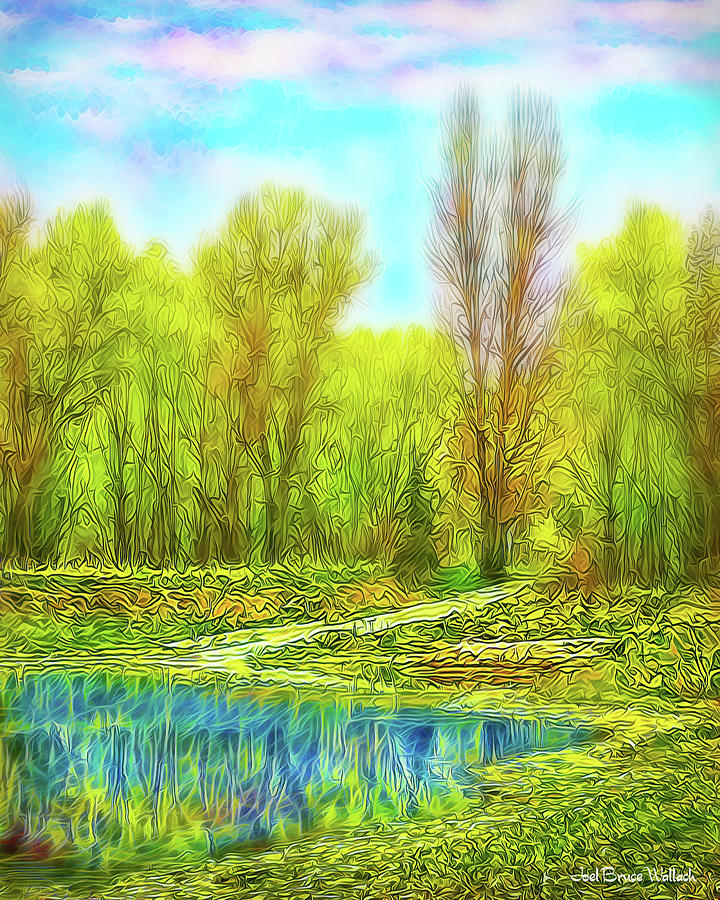 Timeless Lake Reflections - Park In Boulder County Colorado Digital Art by Joel Bruce Wallach